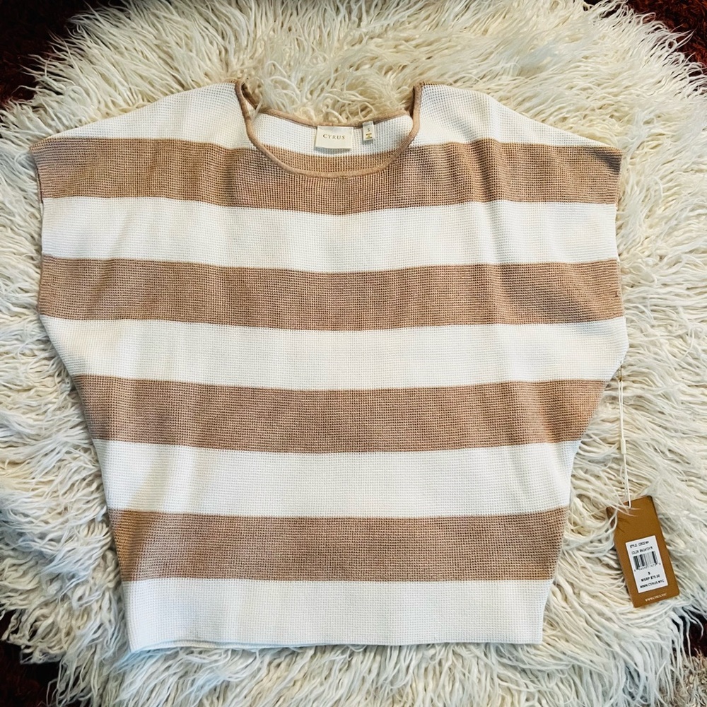 Cyrus Cream and Tan Striped Knit Boxy Top